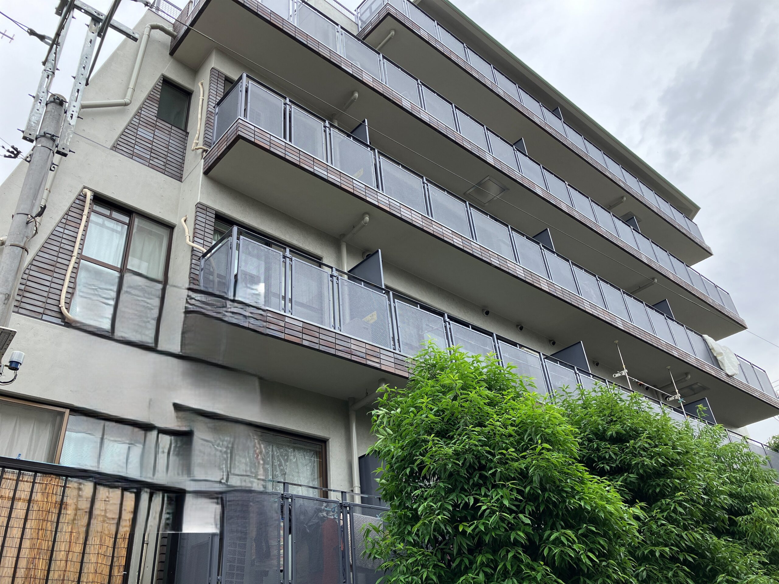 https://crystel.jp/wp/wp-content/uploads/2026/07/019-3.jpg